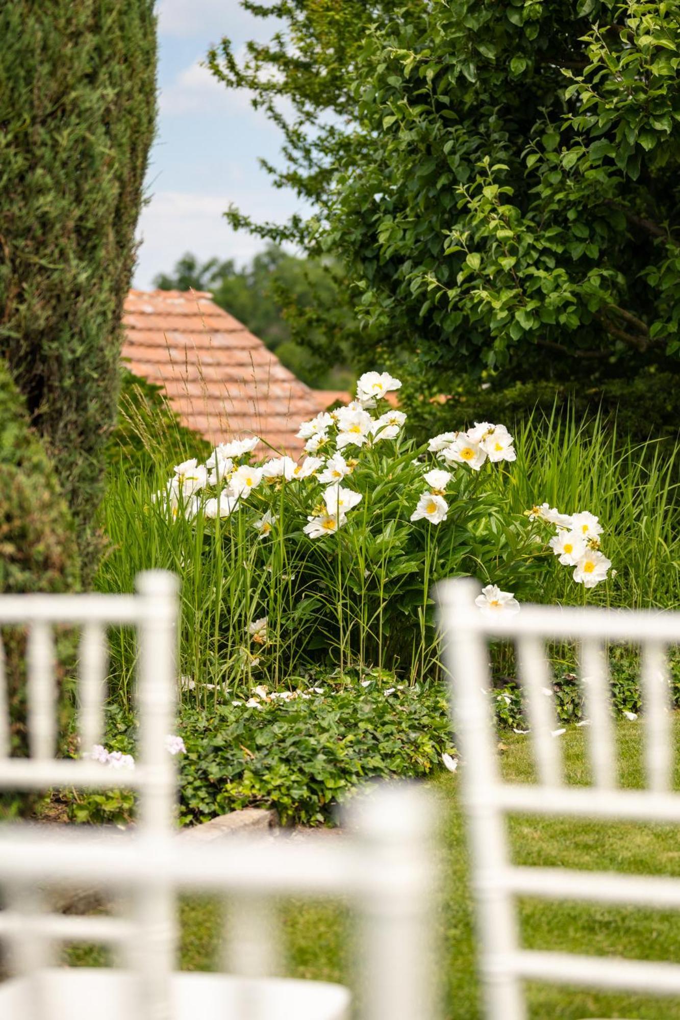 Family Hotel Okoř מראה חיצוני תמונה